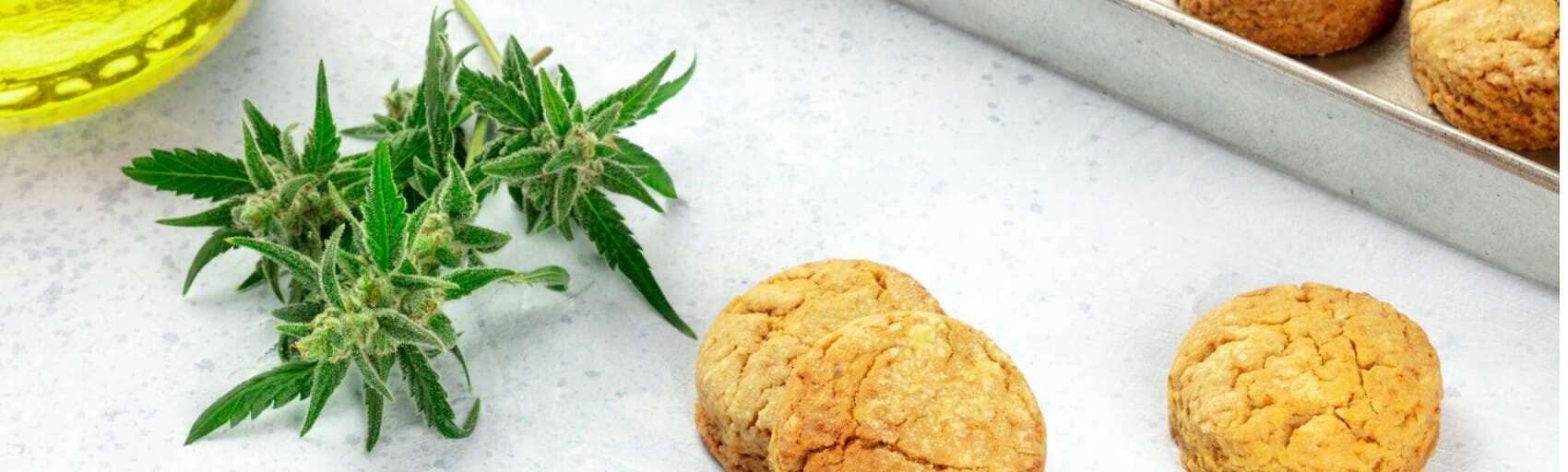cbd-diet-keto-paleo-vegan-rawfood-image25-4204044