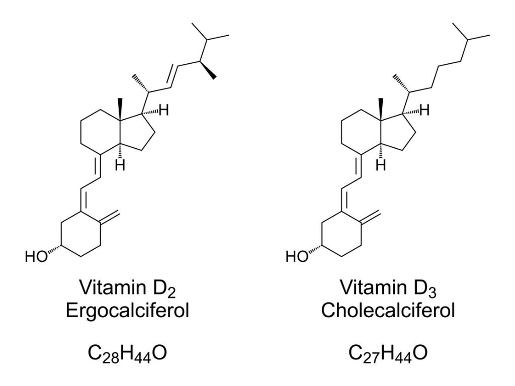 vitamin-d3-image9-6319328