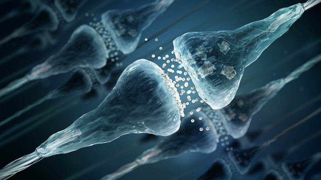 endocannabinoid-system-image2-8124321