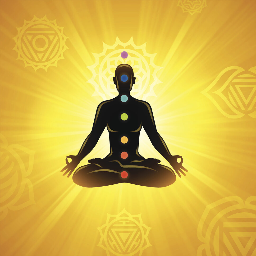 alphagreen-mensyoga-2846305