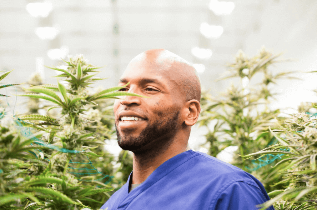 cbd-cannabis-celebrities-image47-5277733
